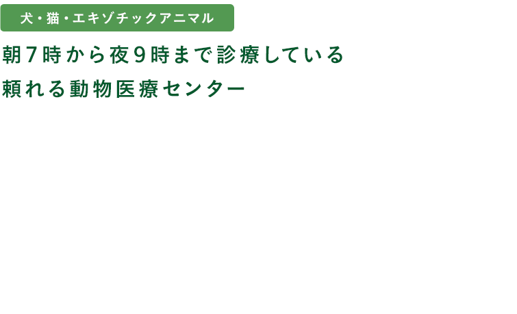 朝7時から夜9時まで診療している頼れる動物医療センター