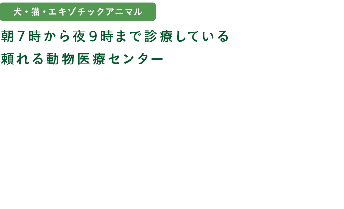 朝7時から夜9時まで診療している頼れる動物医療センター