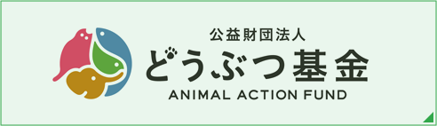 公益財団法人どうぶつ基金